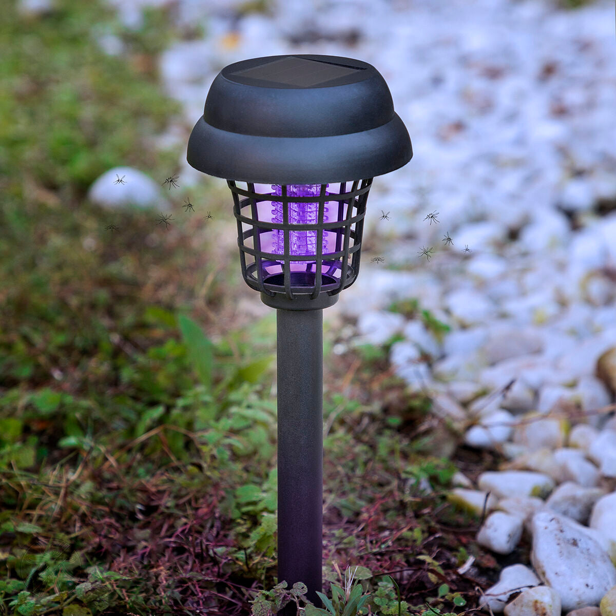 Lampada Solare Antizanzare da Giardino - Garlam InnovaGoods